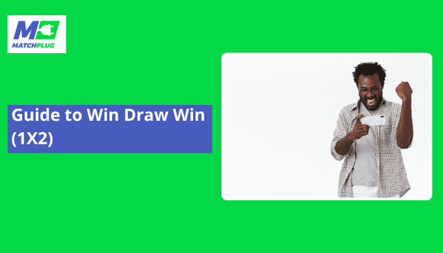 Guide to Win Draw Win (1X2)